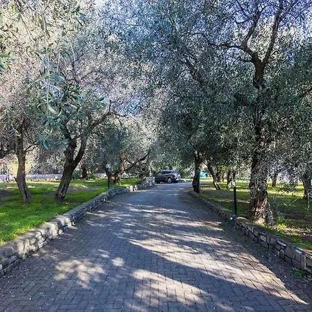 Idromassaggio 5 Stelle 3 Bed Barbecue Parking * 迪亚诺马里纳